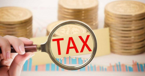 Phú Mỹ nợ thuế gần 170 tỷ: Dấu vết rạn nứt từ đế chế cũ?