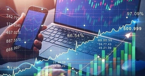 Ít theo dõi, vẫn tối ưu: Giải pháp quản lý danh mục cho người bận.