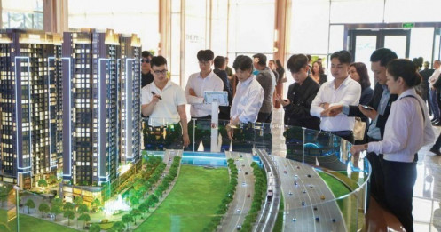 Cơ chế nào để đấu giá đất thoát khỏi tay đầu cơ?