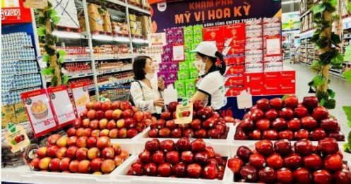 Việt Nam chi 2,16 tỷ USD nhập rau quả trong 10 tháng