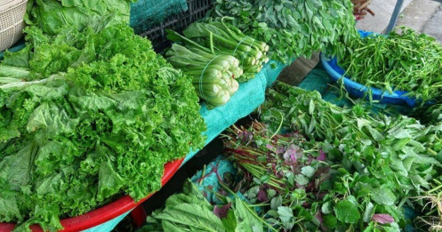 Giá rau xanh tăng gấp 2-3 lần, đắt hơn cả Tết