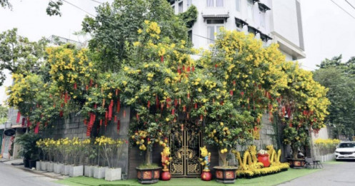 Đàm Vĩnh bán biệt thự hơn trăm tỷ, hai mặt tiền ở TP.HCM