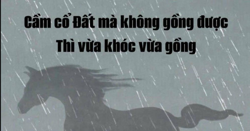 Tổng hợp thị trường phiên giao dịch ngày 17/11/2025