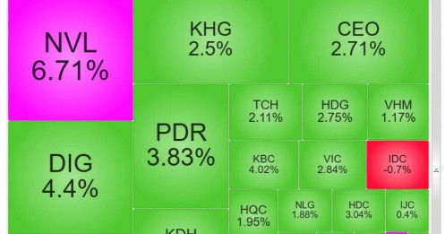 NVL, LDG... đồng loạt tím trần, dòng tiền đổ vào BĐS không ngừng