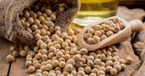 USDA cắt sản lượng – Nhưng vì sao đậu tương Mỹ vẫn chưa thể tăng giá?