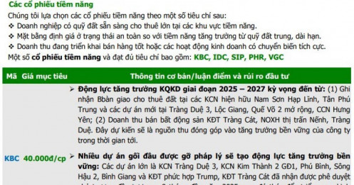 61.000 tỷ đồng 'của để dành' tại nhóm BĐS KCN: Soi những doanh nghiệp có dư địa bứt phá mạnh nhất