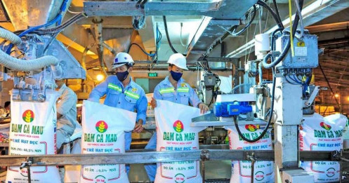 DCM và bài toán tồn kho Ure: cơ hội hay rủi ro trong năm 2026?