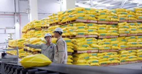 Khuyến nghị mua cổ phiếu DPM - Lợi nhuận ròng Q3/2025 tăng vọt 275,7%