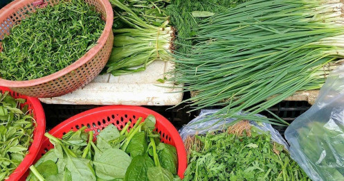 Hành lá 65.000 đồng/kg, chủ quán phở than 'không tăng giá sớm muộn cũng đóng cửa'