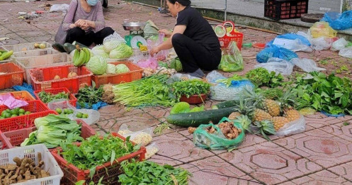Giá rau xanh tăng cao, người tiêu dùng phải giảm lượng rau để tiết kiệm chi phí