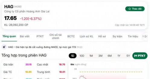 Cơn bán tháo cổ phiếu HAG