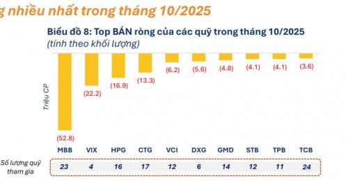 Hàng chục triệu cổ phiếu ngân hàng bị ‘bán tháo’: Ai đang thao túng?