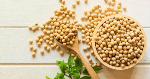 Đậu tương toàn cầu: Tín hiệu trái chiều giữa nhu cầu trung quốc và rủi ro sản lượng tại Brazil