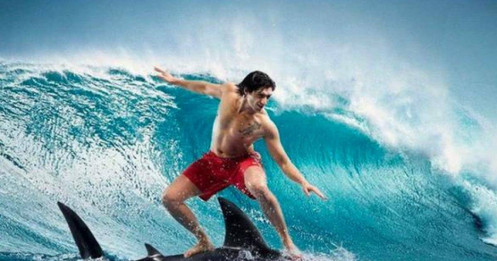 ANV: Thoát kênh giảm, tín hiệu đảo chiều xác nhận