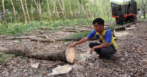 Hơn 300 tỉ đồng giải phóng mặt bằng làm cao tốc TP HCM - Thủ Dầu Một - Chơn Thành qua Đồng Nai