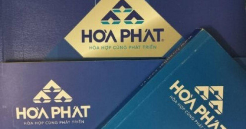 Lãnh đạo Hòa Phát dùng cổ phiếu HPG làm tài sản bảo đảm cho các khoản vay HPA