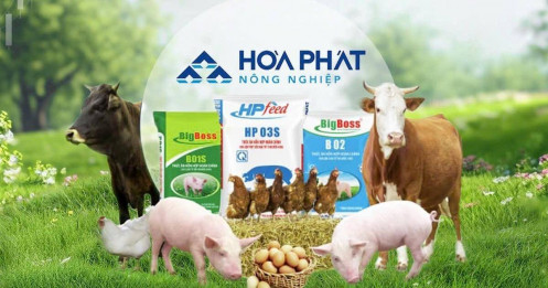 Nông nghiệp Hoà Phát (HPA): IPO 30 triệu cổ phiếu giá 41.900 đồng/cp