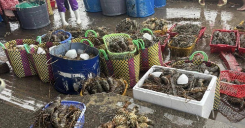 Rau xanh, hải sản từ miền Trung - Tây Nguyên bị gián đoạn vì lũ