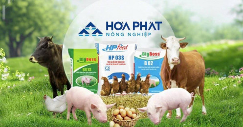 Tham vọng nông nghiệp kiểu "cỗ máy thép" của chủ tịch Trần Đình Long