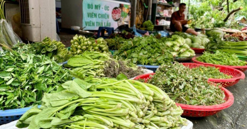 Bộ Công Thương: Nguồn cung rau xanh sẽ sớm ổn định