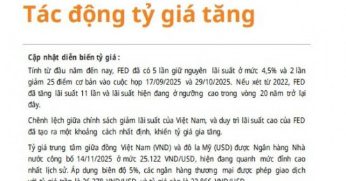 Tỷ giá USD/VND lên đỉnh lịch sử: HPG hưởng lợi lớn, NVL, HVN đối mặt khoản lỗ hàng trăm tỷ đồng