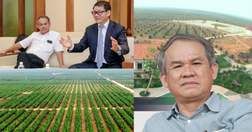 Chuối đi Nhật, sầu riêng sang Trung, cà phê khắp thế giới… còn heo ăn chuối của bầu Đức ‘mất tích’ trên bản đồ