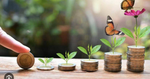 Lịch chốt quyền nhận cổ tức bằng tiền của 6 DN