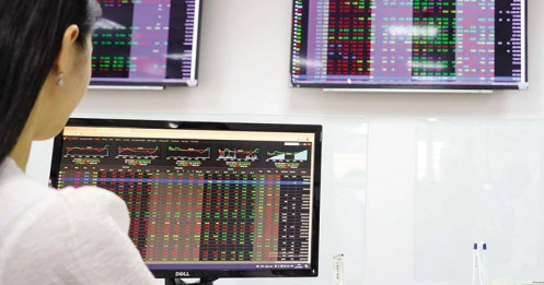 Nhà đầu tư chứng khoán hạn chế bắt đáy cổ phiếu có biến động giá lớn