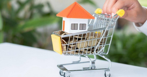 Già, ít đẻ và xu hướng giá xuống dài hạn