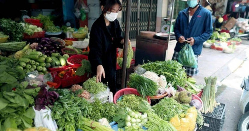Rau xanh đắt "cắt cổ": Ớt 100.000 đồng/kg, hành lá 80.000 đồng