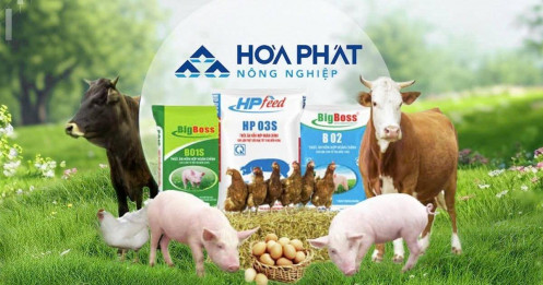 Kỳ vọng nào thổi Nông nghiệp Hòa Phát lên đỉnh định giá ngành?