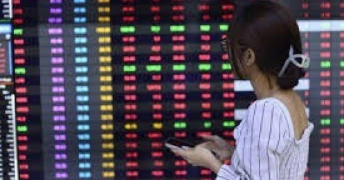 Thời điểm 'gặt hái' cho đa số cổ phiếu trên sàn