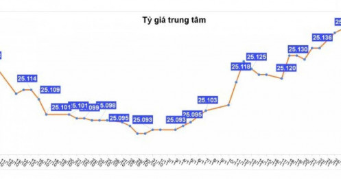Sự kiện: Biến động tỷ giá