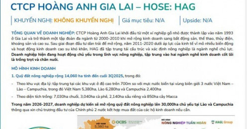 Sếp HAG bất ngờ tiết lộ “khối tài sản ngầm khổng lồ” chưa từng xuất hiện trên BCTC