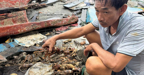 Đêm nước bạc cuốn trôi cơ nghiệp: Người nuôi tôm hùm Đắk Lắk mất trắng hơn 2.400 tỉ đồng