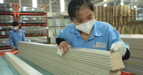 ACG tạo sức bật từ nội địa