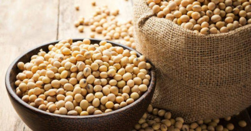 Đậu tương tăng nhờ kỳ vọng Trung Quốc mua thêm