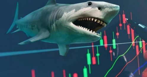 Sự kiện: Đón "sóng" nâng hạng TTCK