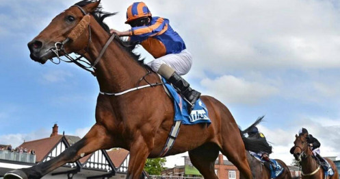 Cuộc đua lợi nhuận VN30 quý 3: VHM giữ ngôi đầu, HPG bất ngờ soán ngôi GAS