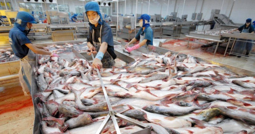 Chuỗi thủy sản Việt Nam trước “bài kiểm tra” minh bạch toàn diện