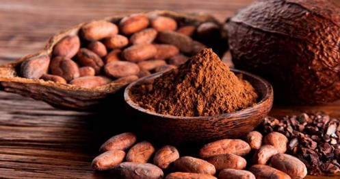 Ecuador Bùng Nổ Sản Lượng, Tồn Kho Mỹ Dồi Dào: Thị Trường Cacao Đang Bước Sang Giai Đoạn Mới?