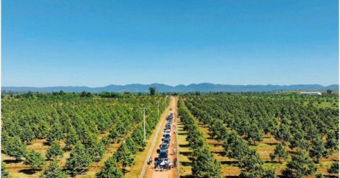 Hành trình 10 năm trả nợ của công ty bầu Đức