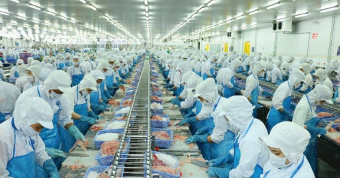 Vĩnh Hoàn "hụt hơi" giữa cơn phục hồi thủy sản