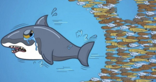 Quỹ ngoại báo hiệu suất âm do "ôm" 2 cổ phiếu ngân hàng