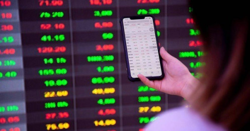 Đầu tư an toàn dù “mù” phân tích