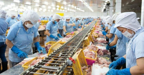 Thêm động lực cho ANV