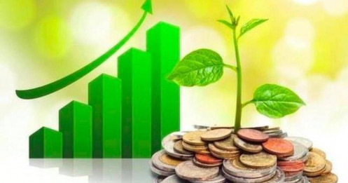 Lịch chốt quyền cổ tức 1/12– 5/12: FPT, CTD, MSH đồng loạt "lăn chốt", cổ tức tiền mặt cao nhất 40%