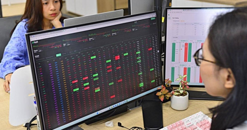 Bài viết HAY của chuyên gia