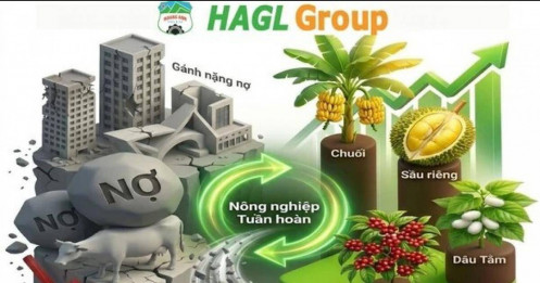 Từ bất động sản đến trái cây: HAGL hé lộ kế hoạch “xoay trục” mới
