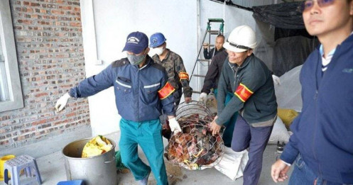 Cưỡng chế khẩn cấp: Cắt điện, nước loạt công trình rộng hàng nghìn m2 xây dựng trái phép trên đất nông nghiệp